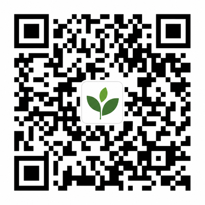 麻豆传媒公众号二维码